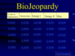 BioJeopardy: Ecology