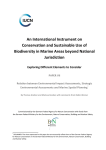 Relation between EIA SEA and marine spatial planning