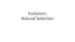 Evolution * Natural Selection