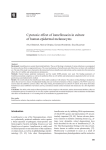 Cytotoxic effect of lomefloxacin in culture of human epidermal