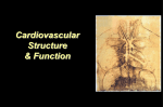 Ventricular pressure