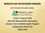 Cindy P. Driscoll, DVM MD DNR State Wildlife Veterinarian Director