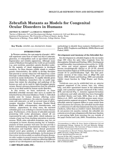 Zebrafish mutants as models for congenital ocular