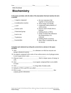 Vocabulary review