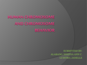 Chromosome anomalies course