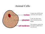 Cells and Reproduction 1
