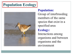 Population size