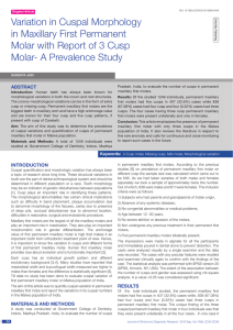 Variation in Cuspal Morphology in Maxillary First Permanent Molar