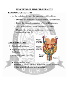 FUNCTIONS OF THYROID HORMONE