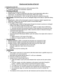 Structure and Function of the Cell 1: Introduction to the Cell • Cell