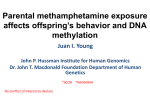 Parental Methamphetamine Exposure Affects Offspring`s Behavior and