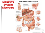 BIO 20 DIGESTIVE SYSTEM