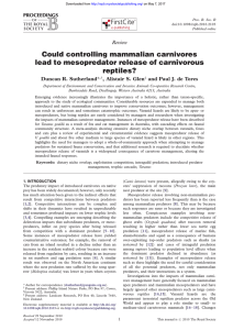 Could controlling mammalian carnivores lead to mesopredator