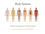 Body Systems - Demarest School District