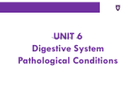 UNIT 6 Digestive System Pathological Conditions