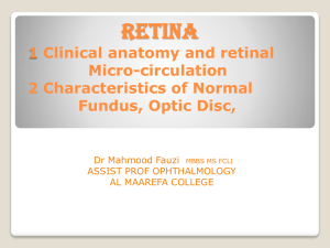 Central retinal vein occlusion