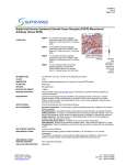 Rabbit Anti-Human Epidermal Growth Factor Receptor (EGFR