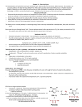 Krebs Cycle - USD Home Pages