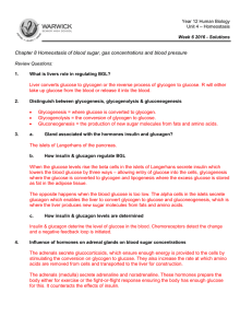 Chapter 8 Homeostasis of blood sugar, gas concentrations and