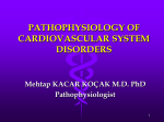 pathophysiology of cardiovascular system disorders 1