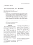 TP53 and Head and Neck Neoplasms