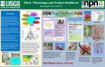 Plant Phenology and Project BudBurst By George R. Kish, Tampa