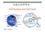 Cell nucleus and cell cycle