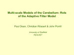Modelling Cerebellar Function in Saccadic Adaptation