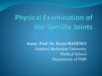 Physical Examination of the Spesific Joints