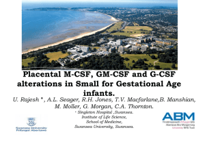 Placental M-CSF, GM-CSF and G-CSF alterations in
