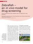 Zebrafish – an in vivo model for in vivo drug screening