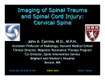 Imaging of Spinal Trauma and Spinal Cord Injury: Cervical Spine