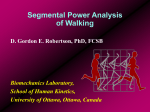 Segmental Power Analysis of Walking