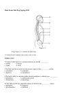 Med Prep final review guide File