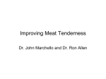 Improving meat tenderness - Dr. Ron Allen and Dr. John Marchello