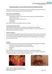 Dermatology Guidelines – Stevens