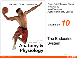 power pt notes endo - Aurora City School