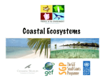 Coastal Ecosystems Presentation