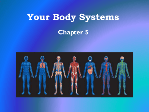 Chapter 5 Body Systems