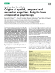 Origins of spatial, temporal and numerical cognition: Insights from