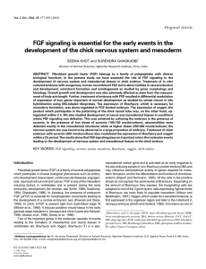 FGF signaling is essential for the early events in the development of