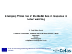 Emerging Vibrio risk in the Baltic Sea in response to ocean warming