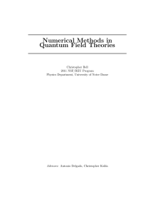 Numerical Methods in Quantum Field Theories