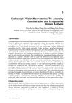 Endoscopic Vidian Neurectomy: The Anatomy Consideration and
