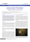 Evaluation of Retinal Pigment Epithelial Hamartoma Using Oct – A