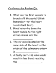 Cardiovascular Review Q`s: