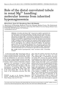 Role of the distal convoluted tubule in renal Mg handling: molecular