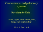 Circulatory System - physicsinfo.co.uk