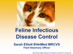 Feline Infectious Disease Control