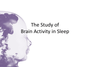 The Study of Brain Activity in Sleep